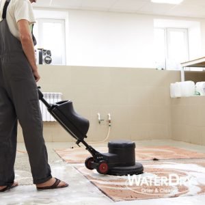 Lavagem profissional de tapetes