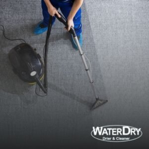 Impermeabilização profissional de estofados