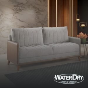 Lavagem profissional de sofá