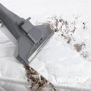 Higienização de estofados