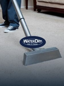 higienização de tapetes